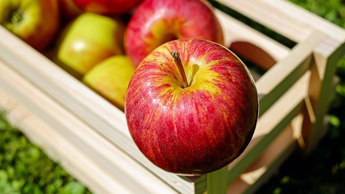 Как хранить яблоки на зиму в домашних условиях